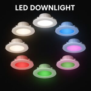 LED Downlight