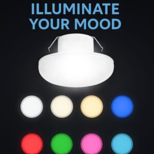 Champion LED Downlight