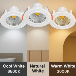 COB Downlight