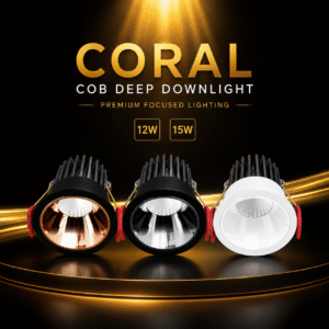 Modern Ceiling Mounted COB Downlight